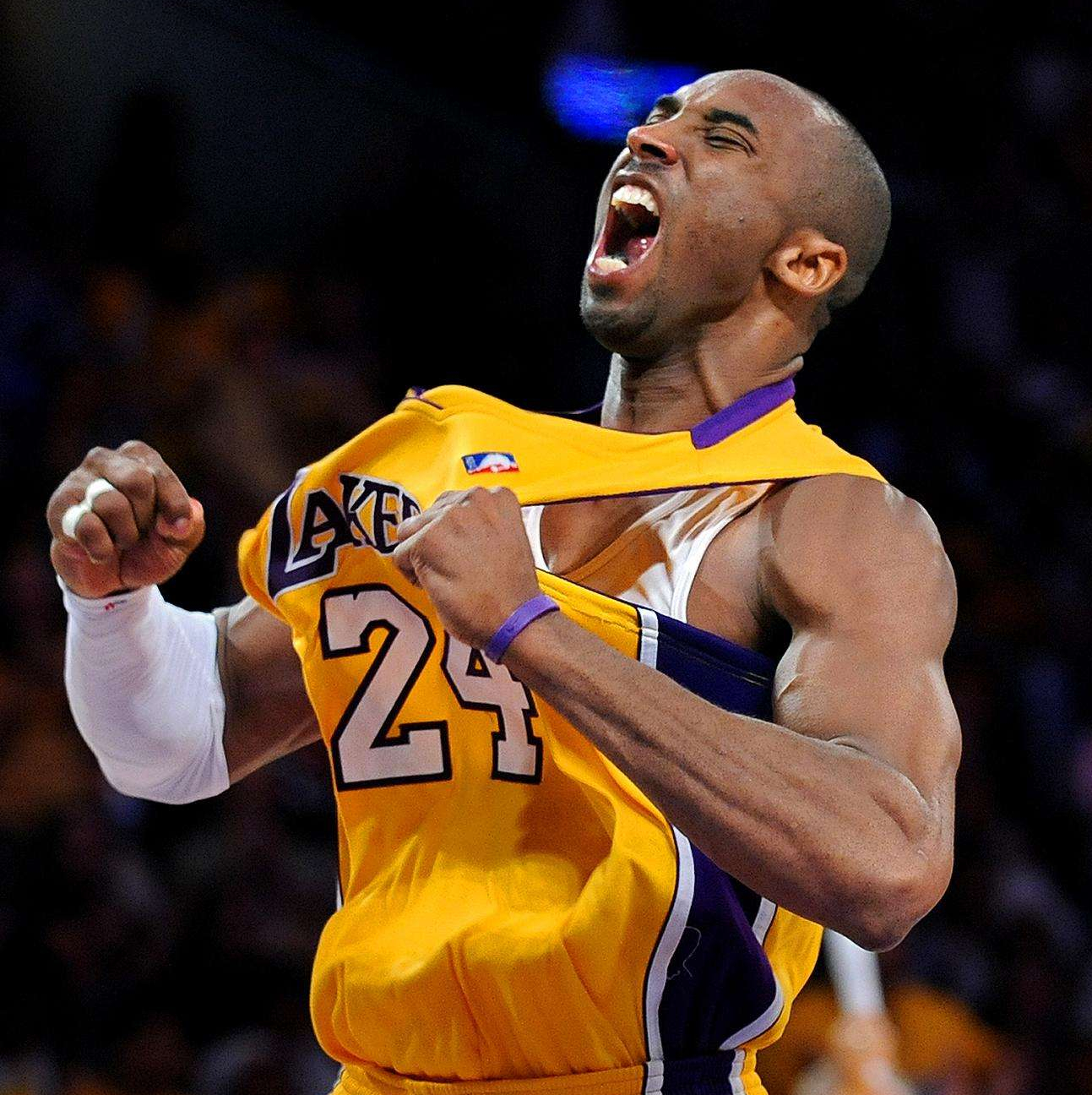 从逆境到掌 从逆境到掌