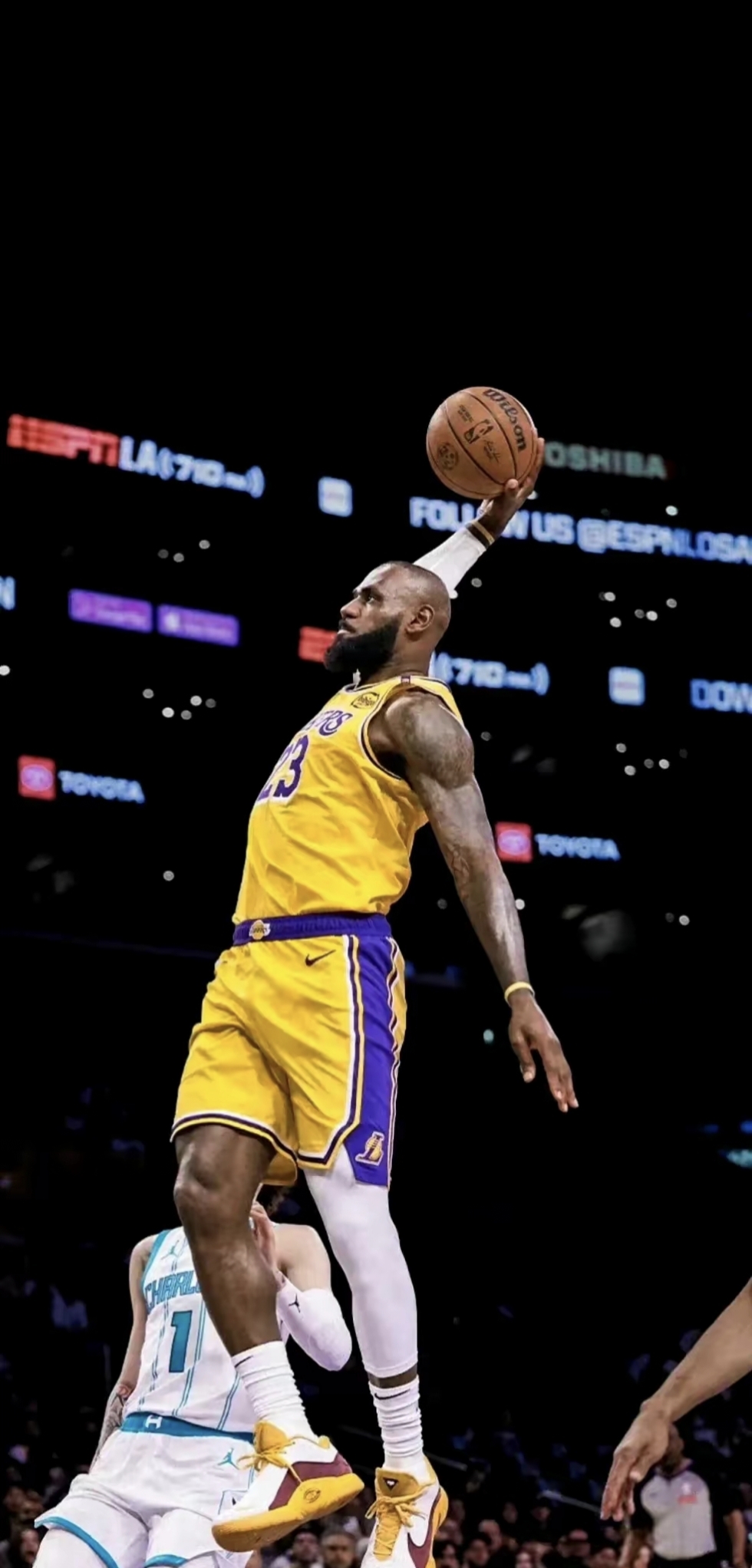 1体系里 1体系里