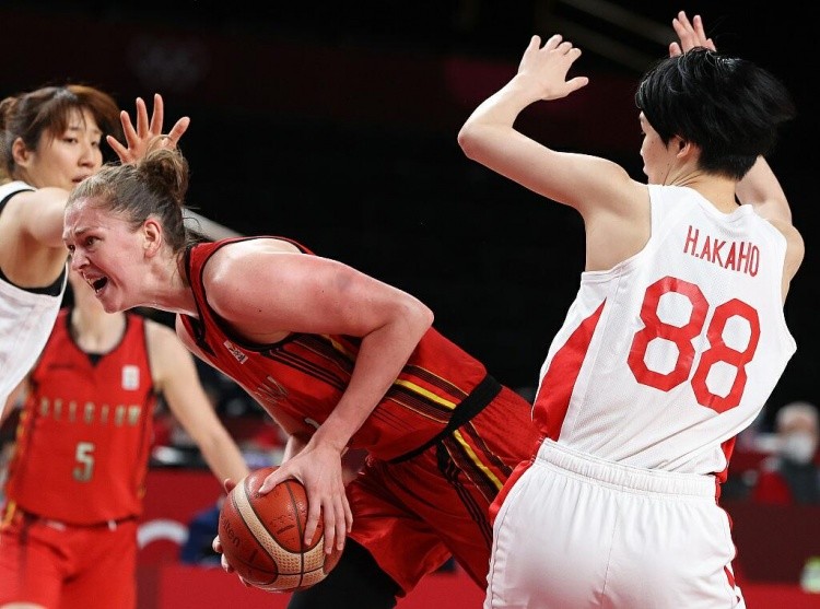 腹侧纹状体 腹侧纹状体